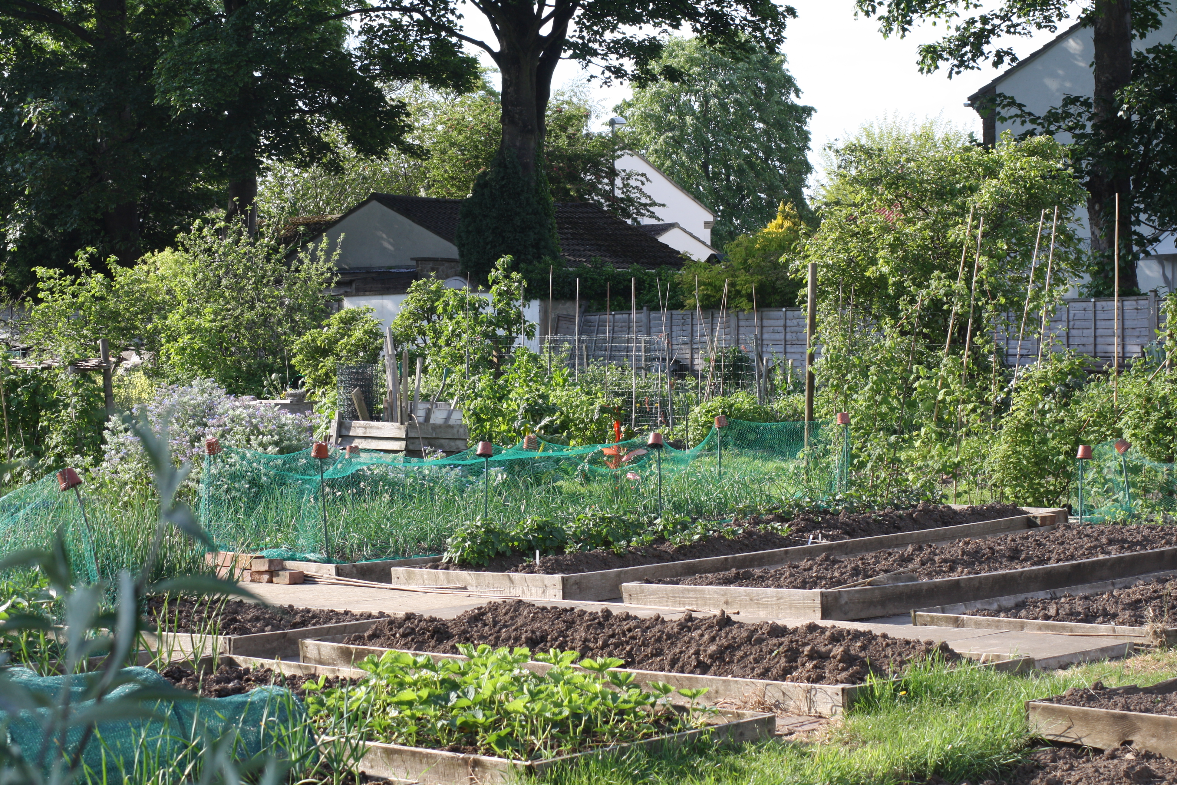 allotments